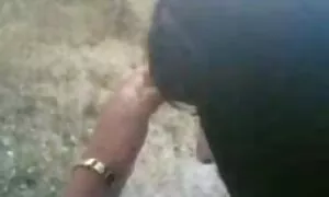 घर के बाहर फारसी शौक ...