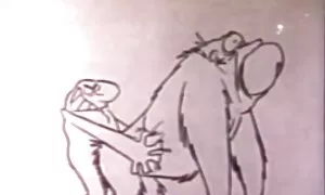 मज़ा आउटडोर बिल्ली क ...