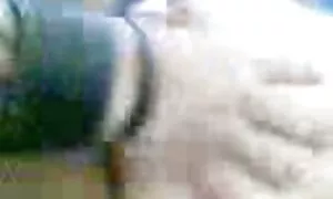 मलय कार्रवाई 5 पर 1  ...